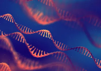 <p data-pm-slice="1 1 []" >Multiple RNA strands against a blue background</p>